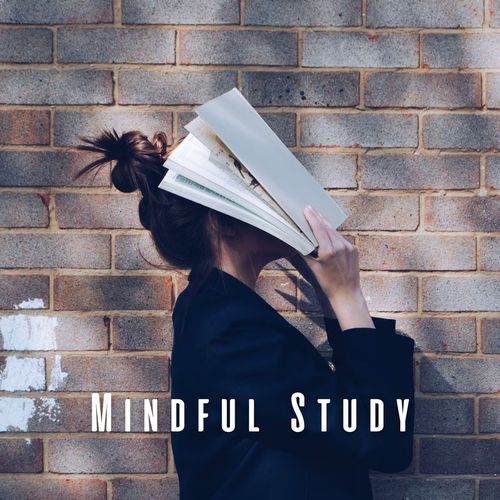 Mindful Study: Ambient Music for Intense Study Hour_poster_image