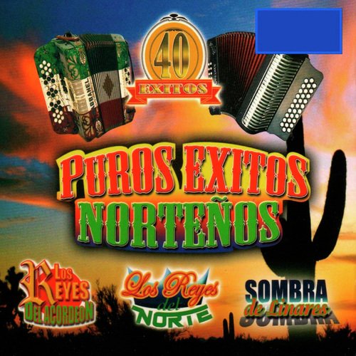 Puros Exitos Nortenos