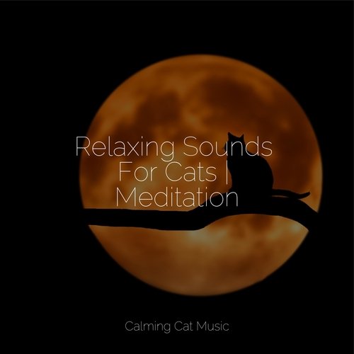 Wellbeing cover art