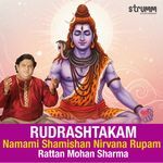 Rudrashtakam - Namami Shamishan Nirvana Rupam