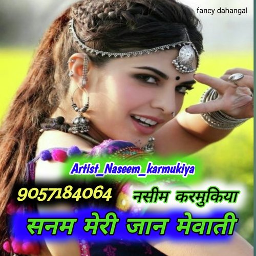 Sanam meri jaan Mewati