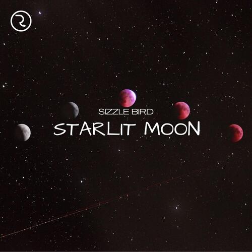 Starlit Moon