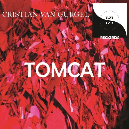 Tomcat Flight