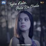 Tujhe Kaise, Pata Na Chala