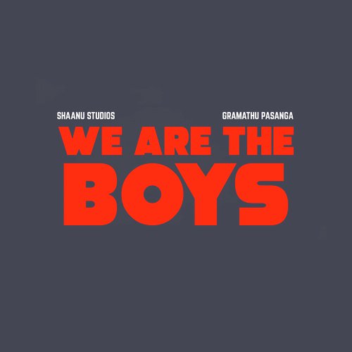 We Are the Boys_poster_image