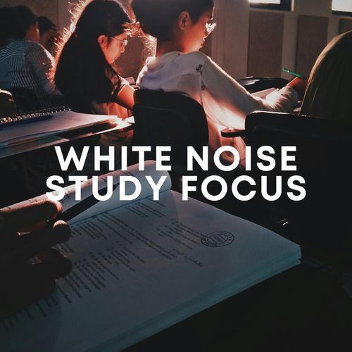 Study White Noise