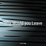 Why Would You Leave