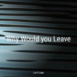 Why Would You Leave