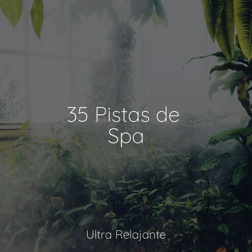 35 Pistas de Spa