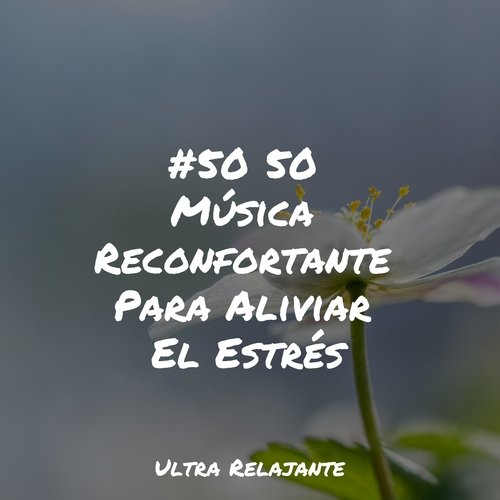 Rocío Ámbar Matutino