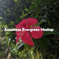 Assamese Evergreen (Mashup)-KBE0VjBvQUM