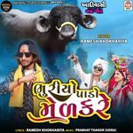 Bhuriyo Pado Med Kare