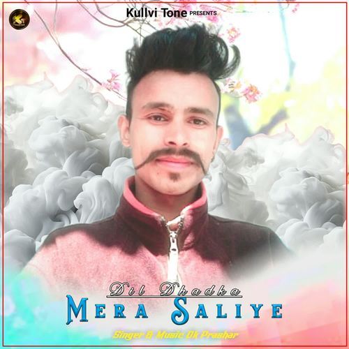 Dil Dhadka Mera Saliye