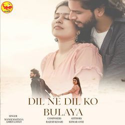 Dil Ne Dil Ko Bulaya-RiZYWT1hYHs