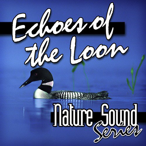 Echoes of the Loon (Nature Sounds)_poster_image