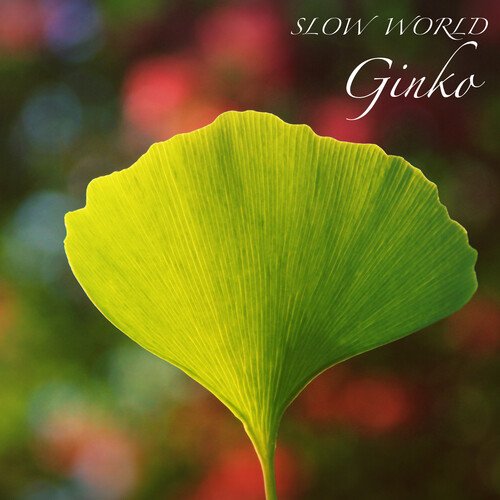 Ginko_poster_image