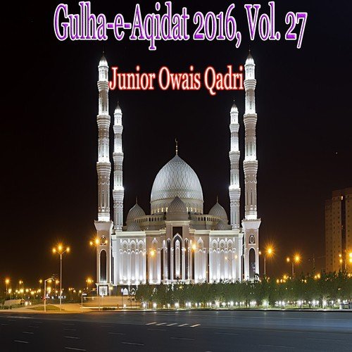 Junior Owais Qadri