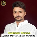 Gulshan Meena Rajsthan University