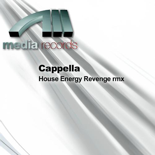 House Energy Revenge Remix  (Remix - 2)
