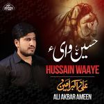 Hussain Waaye