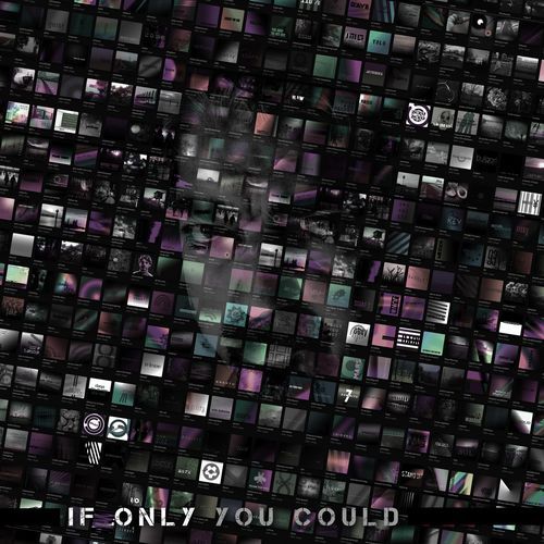 If Only You Could