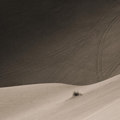 Much of the Distance cover art
