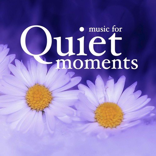 Music for Quiet Moments of Soothing Relaxation