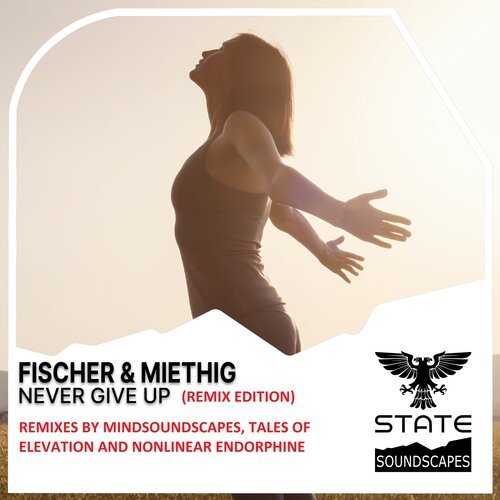Never Give Up (Tales Of Elevation Remix)