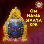 Om Nama Sivaya SPB