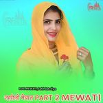 जहरीली मेवात PART 2 MEWATI
