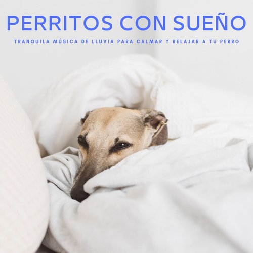 Mi Amada Mascota cover art
