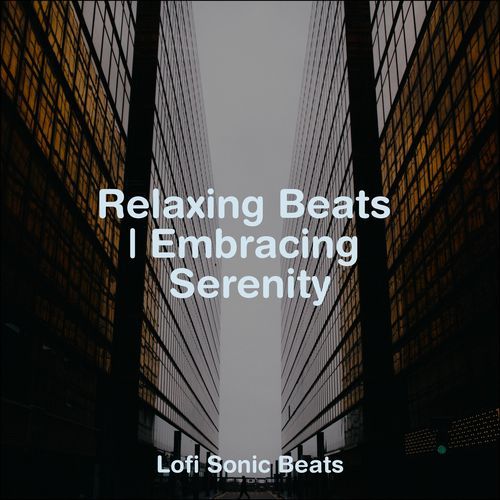 Relaxing Beats | Embracing Serenity