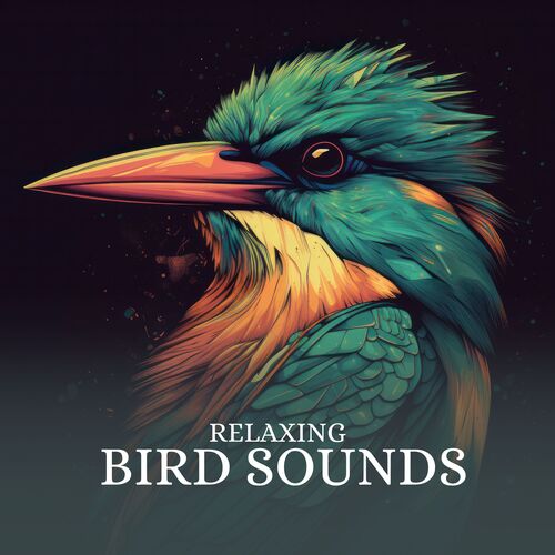 Finch cover art