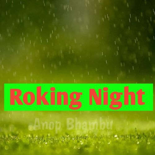 Roking Night