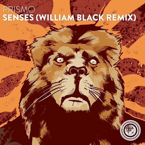 Senses (William Black Remix) cover art