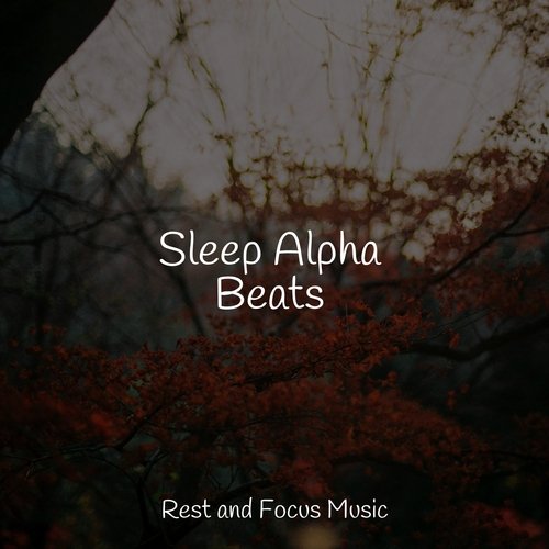 Sleep Alpha Beats