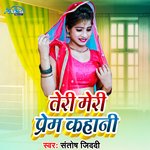 Teri Meri Prem Kahani (Bhojpuri)
