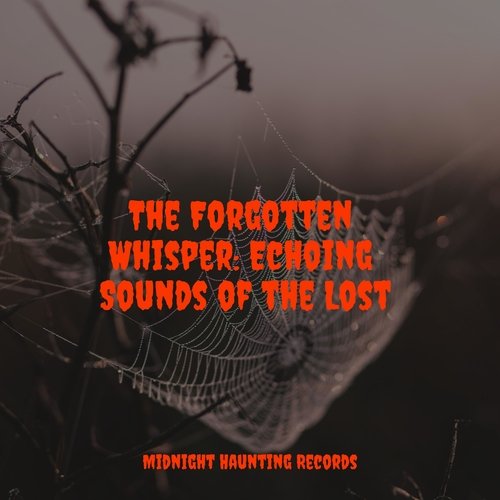 The Forgotten Whisper: Echoing Sounds of the Lost_poster_image