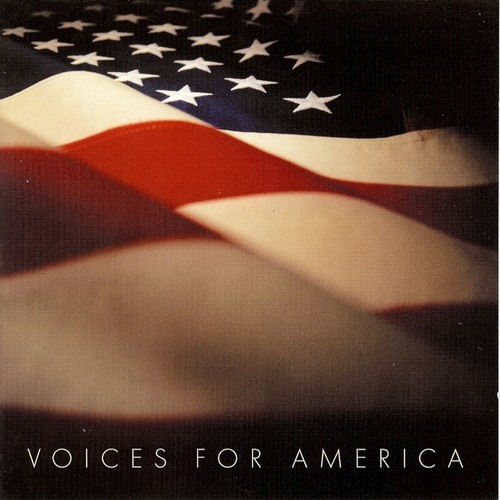 The Voices For America_poster_image