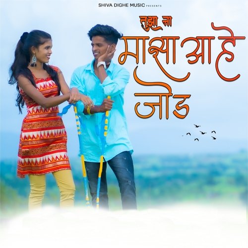 Tuza Na Majha Aahe Jod_poster_image