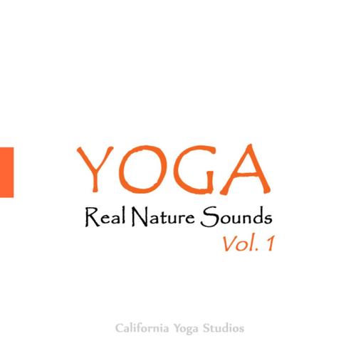 California Yoga Studios