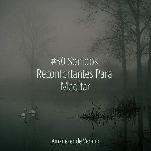 #50 Sonidos Reconfortantes Para Meditar