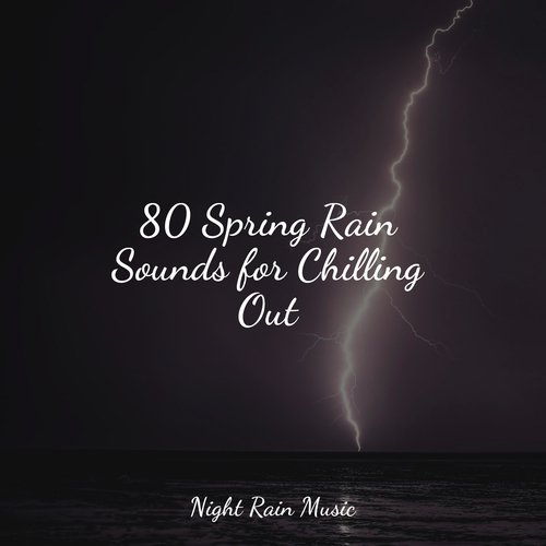 Rain, Storm and Thunder cover art