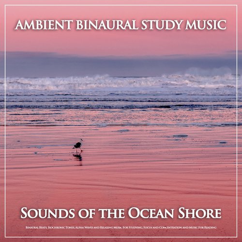 Study Alpha Waves cover art