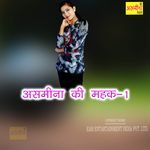 Asmeena Ki Mahek-1 artwork