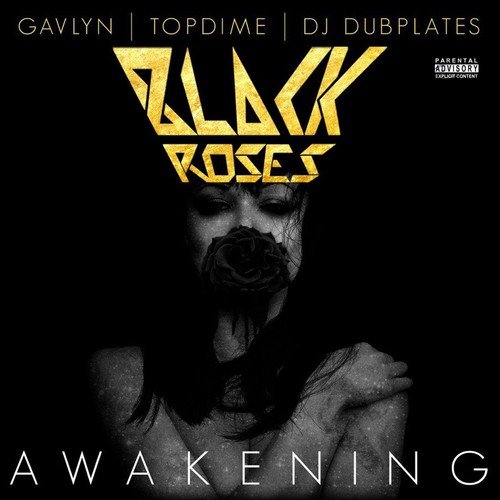 Awakening (feat. Gavlyn, Topdime, and DJ Dubplates)