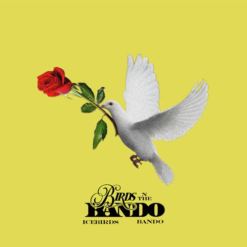 Birds n the Bando_poster_image