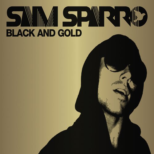 Black &amp; Gold (Remix EP)_poster_image