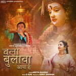 Chalo Bulawa Aya Hai