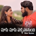 Chusi Chusi Vellipotundi (Male Version) artwork